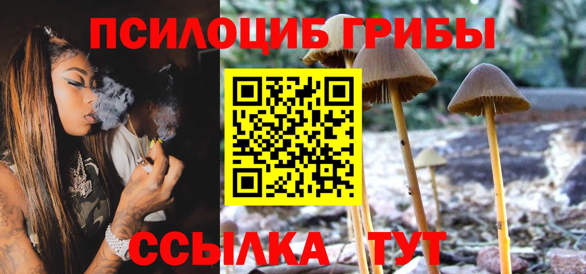 Псилоцибиновые грибы Psilocybine cubensis  Вход с VPN  Псилоцибиновые грибы Magic Shrooms  Кировск 